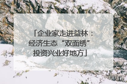 企业家走进益林：经济生态“双面绣” 投资兴业好地方