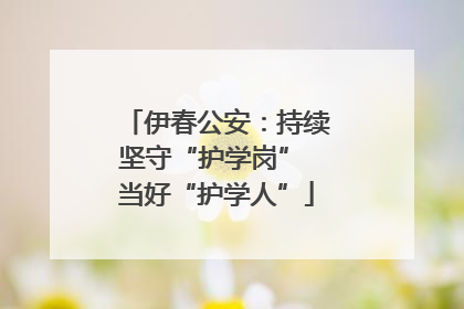 伊春公安：持续坚守“护学岗” 当好“护学人”