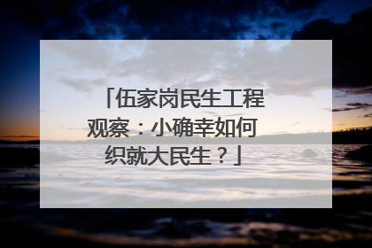 伍家岗民生工程观察：小确幸如何织就大民生？