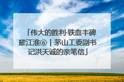 伟大的胜利·铁血丰碑耀江淮⑥｜茅山工委副书记洪天诚的亲笔信