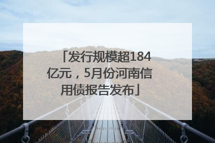 发行规模超184亿元，5月份河南信用债报告发布