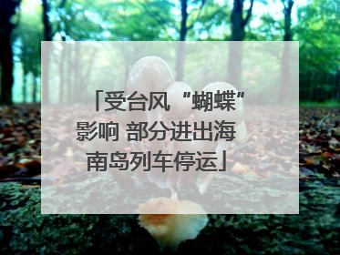 受台风“蝴蝶”影响 部分进出海南岛列车停运