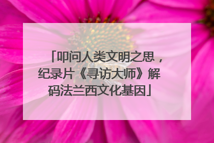 叩问人类文明之思，纪录片《寻访大师》解码法兰西文化基因