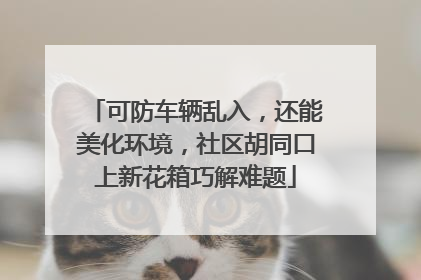 可防车辆乱入，还能美化环境，社区胡同口上新花箱巧解难题