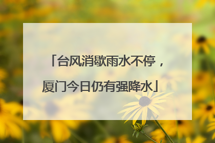 台风消歇雨水不停，厦门今日仍有强降水