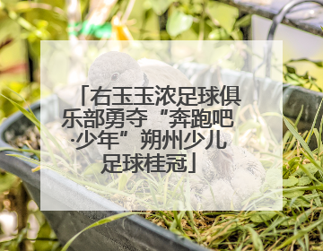 右玉玉浓足球俱乐部勇夺“奔跑吧·少年”朔州少儿足球桂冠