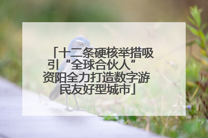十二条硬核举措吸引“全球合伙人” 资阳全力打造数字游民友好型城市