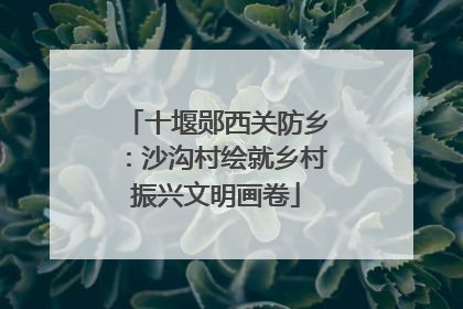 十堰郧西关防乡：沙沟村绘就乡村振兴文明画卷