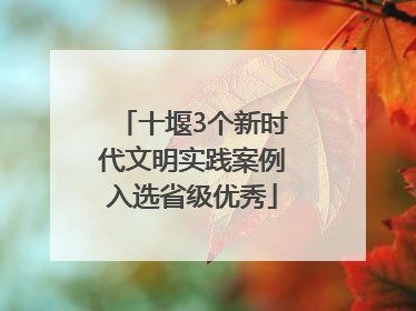 十堰3个新时代文明实践案例入选省级优秀