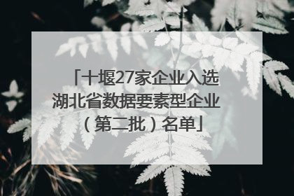 十堰27家企业入选湖北省数据要素型企业（第二批）名单