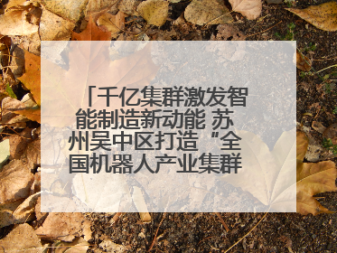 千亿集群激发智能制造新动能 苏州吴中区打造“全国机器人产业集群第一区”