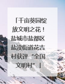 千亩葵园绽放文明之花！盐城市盐都区盐渎街道花吉村获评“全国文明村”