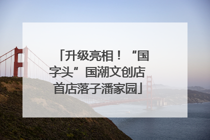 升级亮相！“国字头”国潮文创店首店落子潘家园
