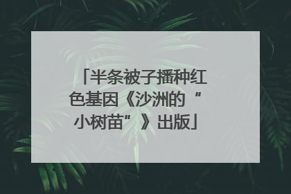半条被子播种红色基因《沙洲的“小树苗”》出版