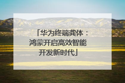 华为终端龚体：鸿蒙开启高效智能开发新时代