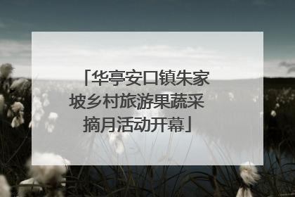 华亭安口镇朱家坡乡村旅游果蔬采摘月活动开幕