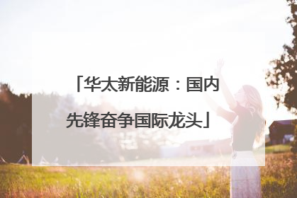 华太新能源：国内先锋奋争国际龙头