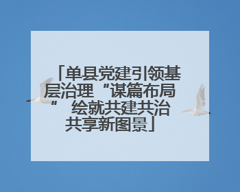 单县党建引领基层治理“谋篇布局” 绘就共建共治共享新图景