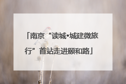 南京“读城•城建微旅行”首站走进颐和路