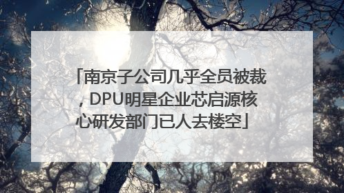 南京子公司几乎全员被裁，DPU明星企业芯启源核心研发部门已人去楼空