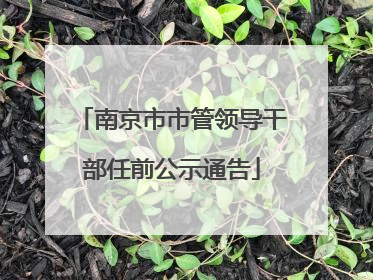南京市市管领导干部任前公示通告