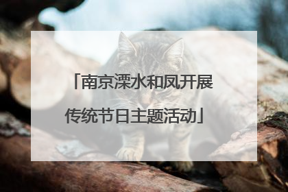 南京溧水和凤开展传统节日主题活动