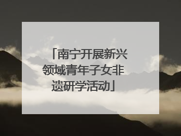 南宁开展新兴领域青年子女非遗研学活动