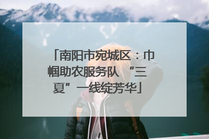 南阳市宛城区：巾帼助农服务队 “三夏”一线绽芳华