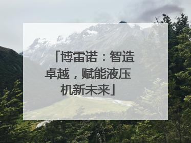 博雷诺：智造卓越，赋能液压机新未来