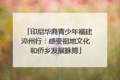 印尼华裔青少年福建漳州行：感受祖地文化和侨乡发展脉搏