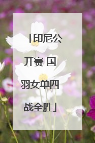 印尼公开赛 国羽女单四战全胜
