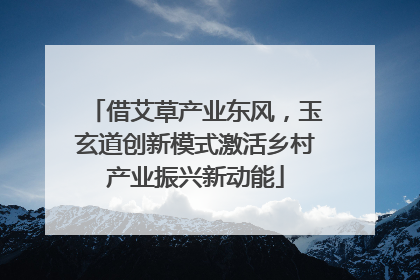 借艾草产业东风，玉玄道创新模式激活乡村产业振兴新动能