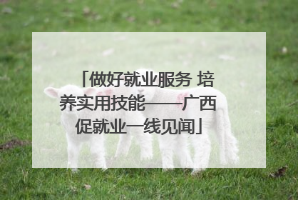 做好就业服务 培养实用技能——广西促就业一线见闻