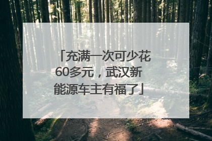充满一次可少花60多元，武汉新能源车主有福了