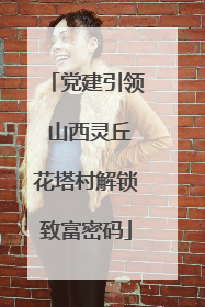 党建引领 山西灵丘花塔村解锁致富密码