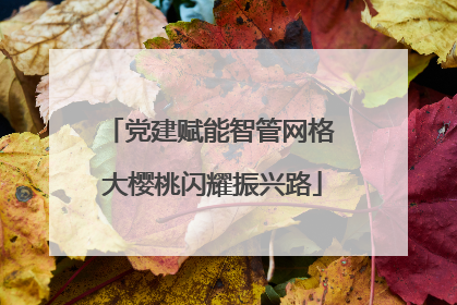 党建赋能智管网格 大樱桃闪耀振兴路