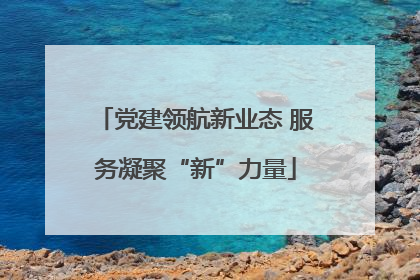 党建领航新业态 服务凝聚“新”力量