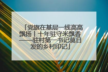 党旗在基层一线高高飘扬丨十年驻守米飘香——驻村第一书记莫日发的乡村印记