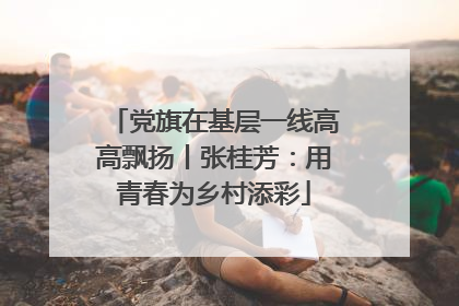 党旗在基层一线高高飘扬丨张桂芳：用青春为乡村添彩