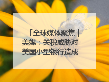 全球媒体聚焦｜美媒：关税威胁对美国小型银行造成双重打击