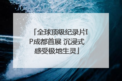 全球顶级纪录片IP成都首展 沉浸式感受极地生灵