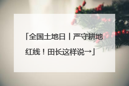 全国土地日丨严守耕地红线！田长这样说→