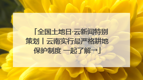 全国土地日·云新闻特别策划丨云南实行最严格耕地保护制度 一起了解→