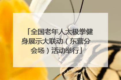 全国老年人太极拳健身展示大联动（东营分会场）活动举行