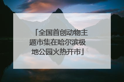全国首创动物主题市集在哈尔滨极地公园火热开市