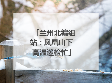兰州北编组站：凤凰山下高温巡检忙