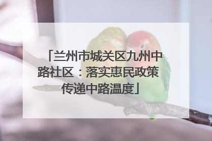兰州市城关区九州中路社区：落实惠民政策 传递中路温度