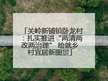 关岭新铺镇卧龙村：扎实推进“两清两改两治理” 绘就乡村宜居新图景