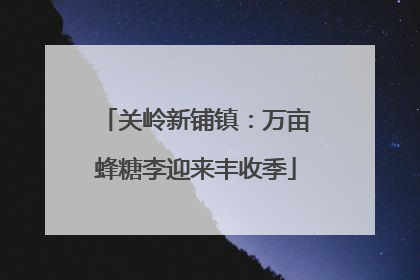 关岭新铺镇：万亩蜂糖李迎来丰收季