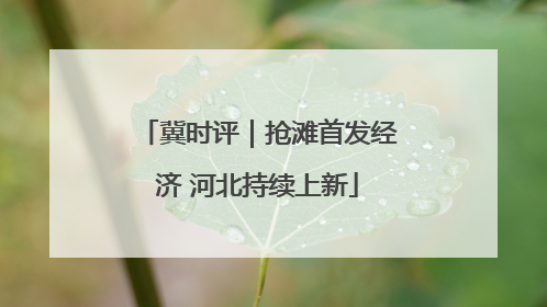 冀时评｜抢滩首发经济 河北持续上新